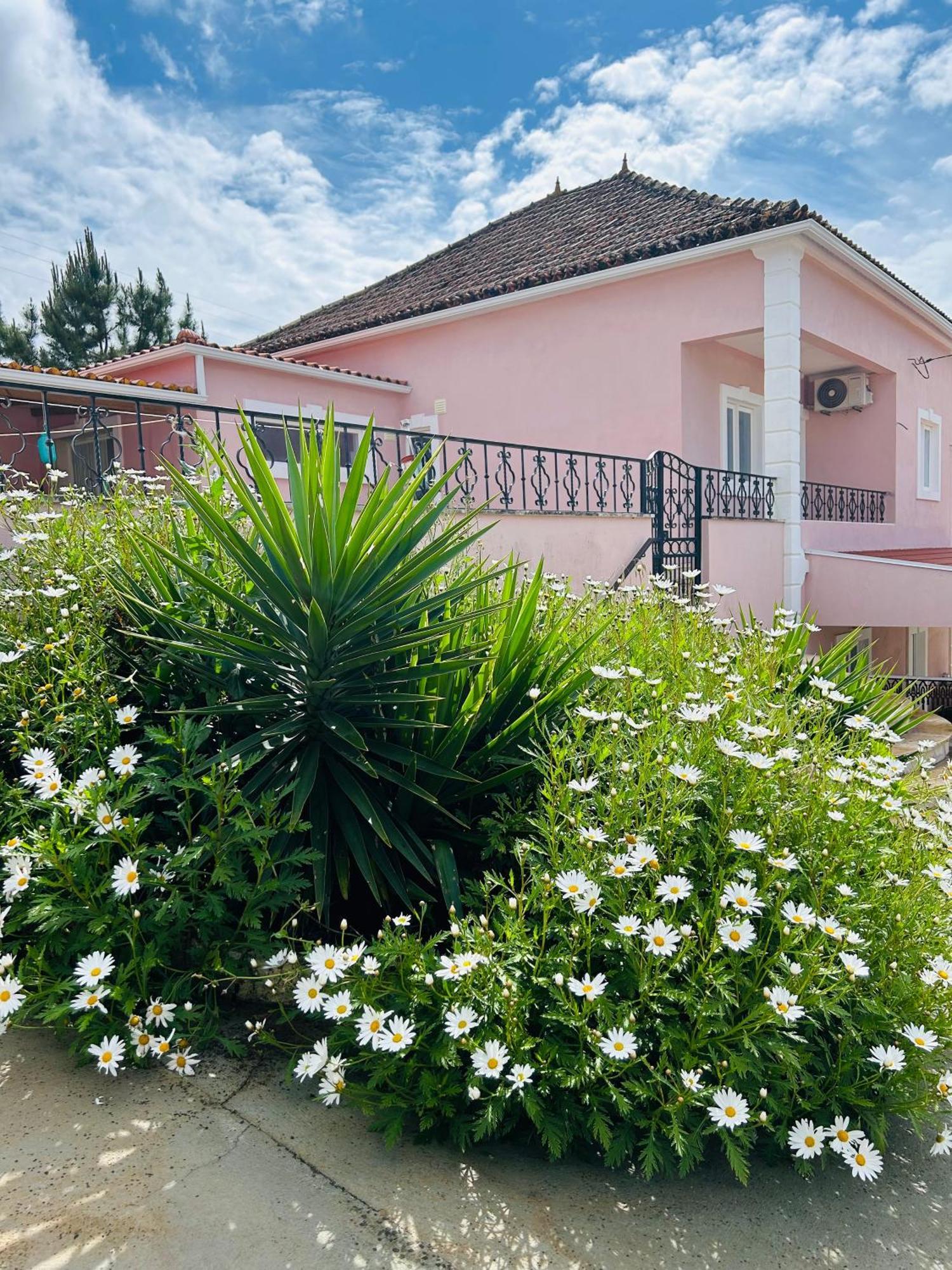 Mae Home Story Caldas Da Rainha Zewnętrze zdjęcie