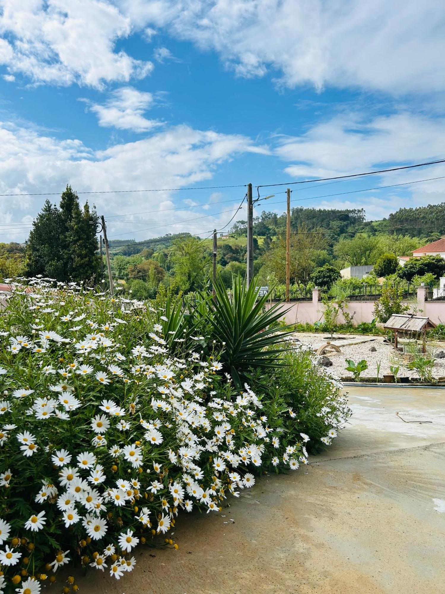 Mae Home Story Caldas Da Rainha Zewnętrze zdjęcie